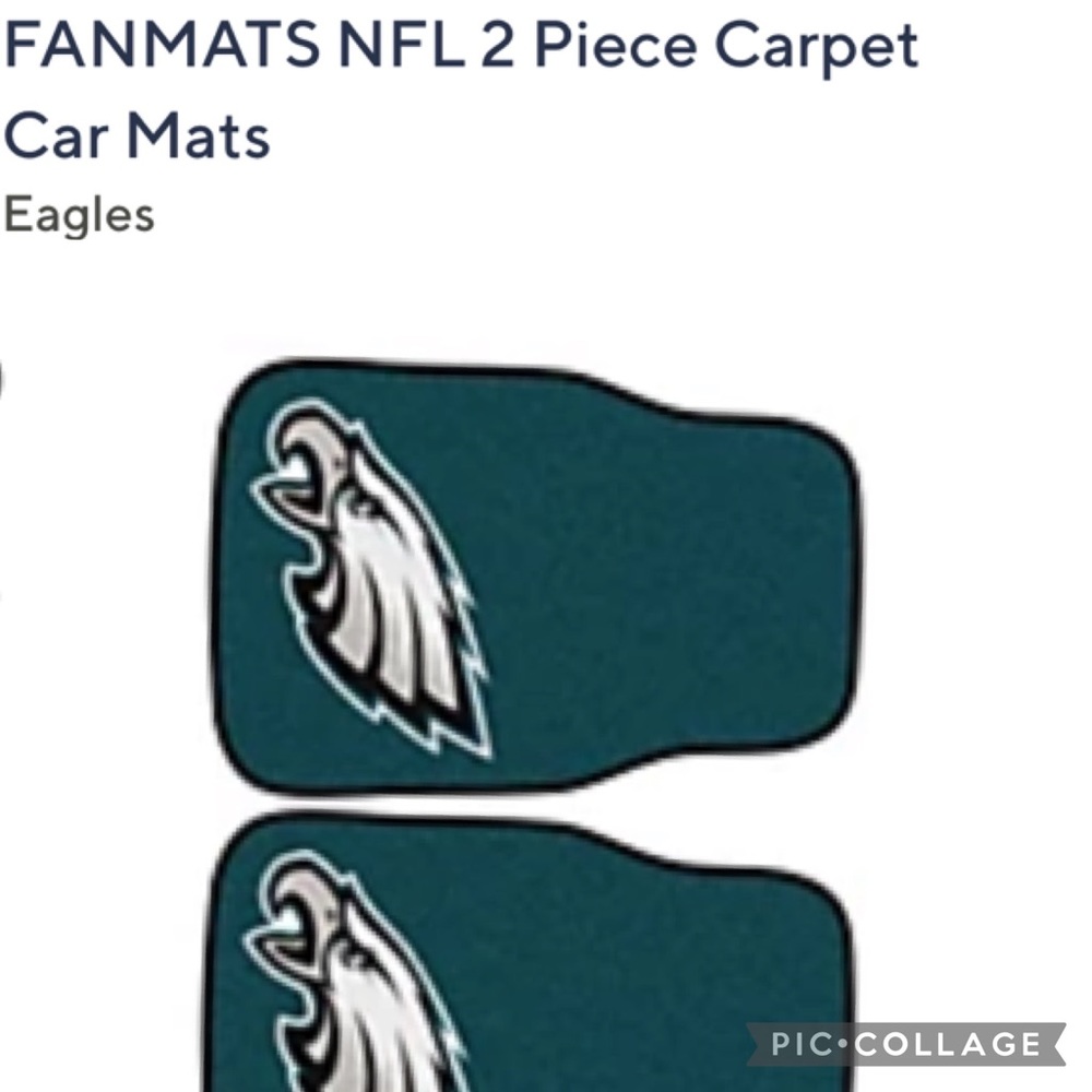 Eagle 🦅 Car Mats- New, cost too much to return and I bought as gift